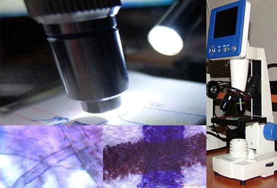 microscope-1 microscope-1